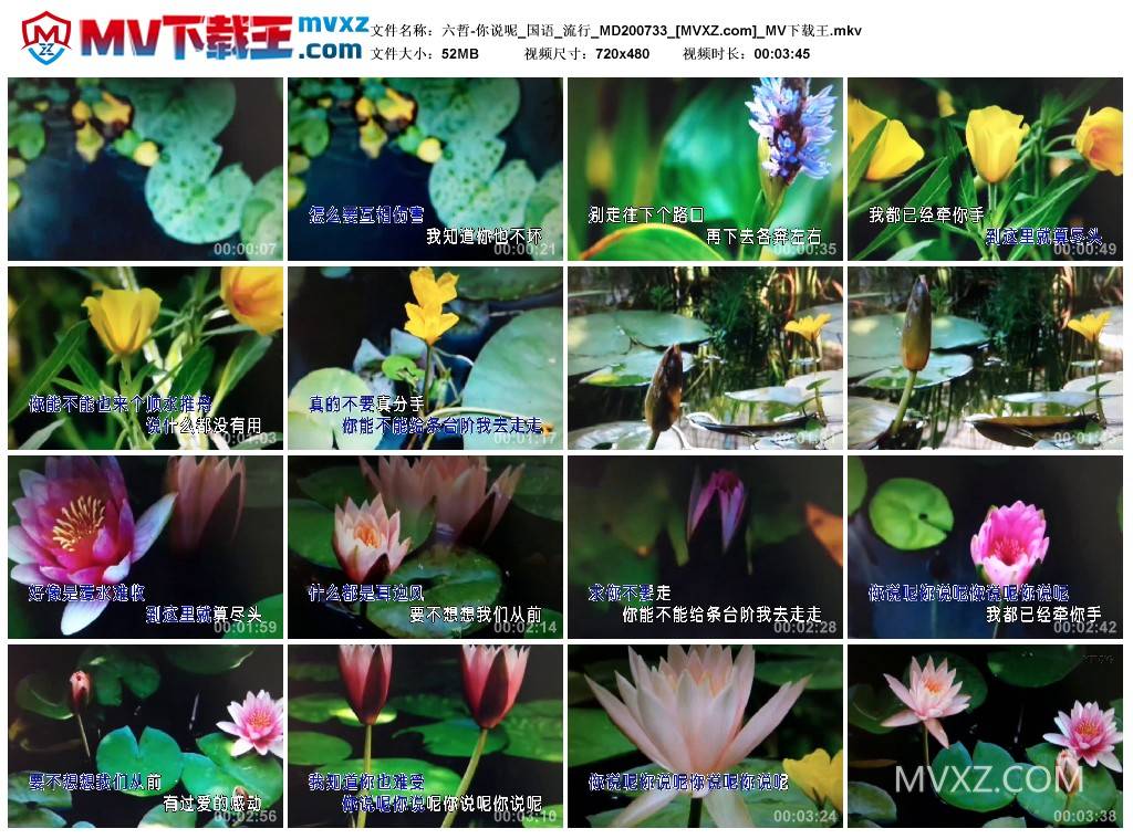 六哲-你说呢_国语_流行_MD200733